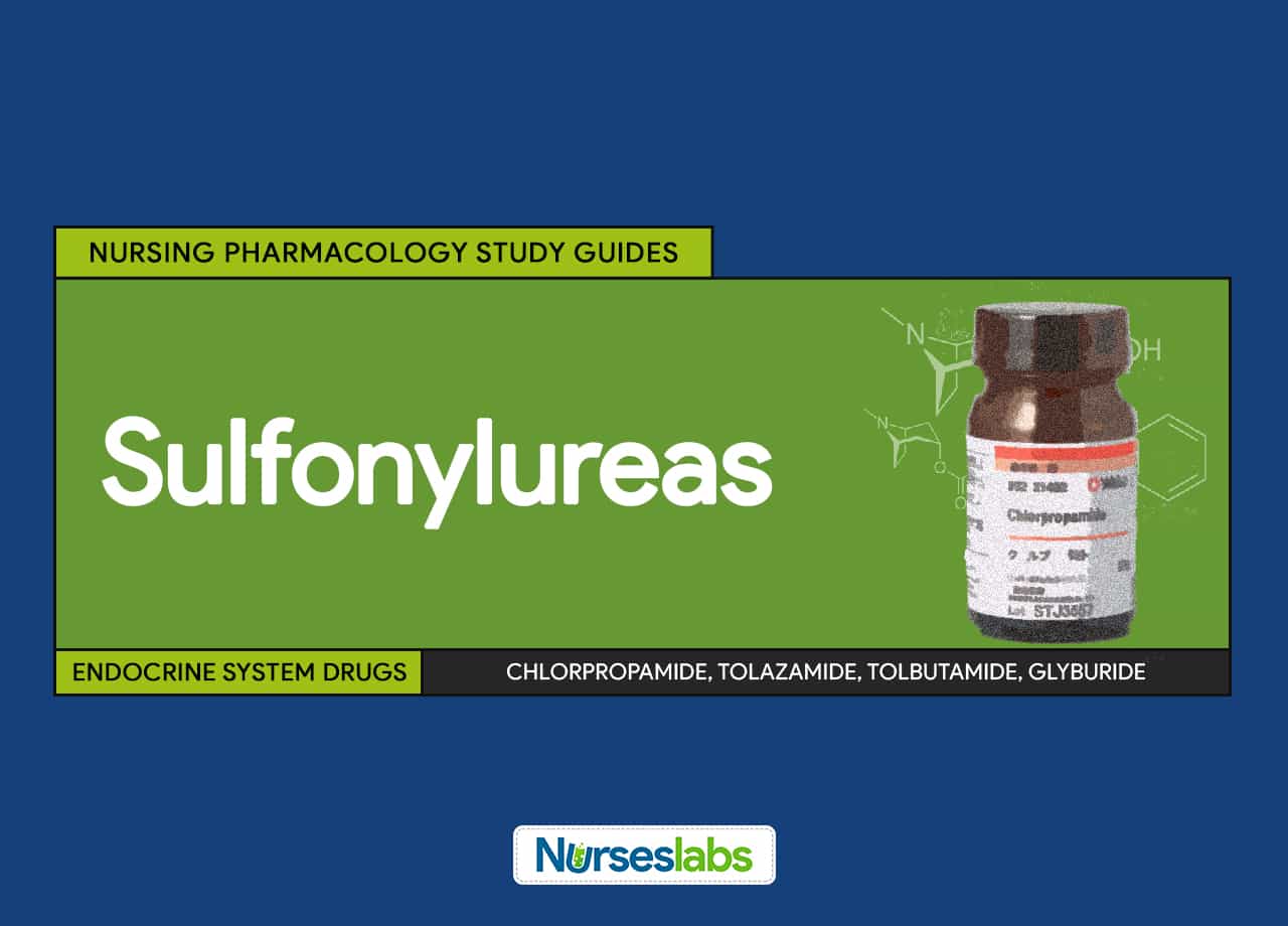 Order Micronase Drug