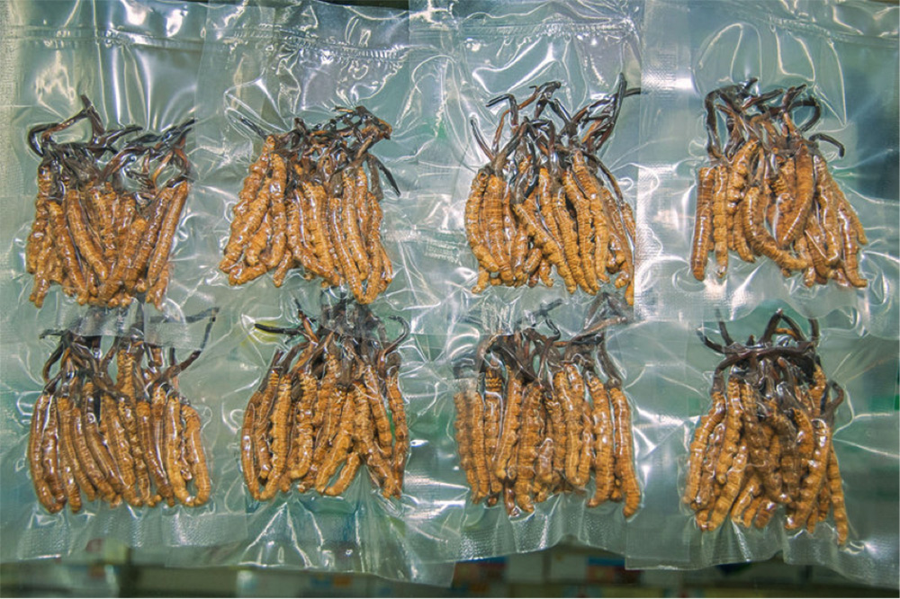Himalayan Viagra Buy Online