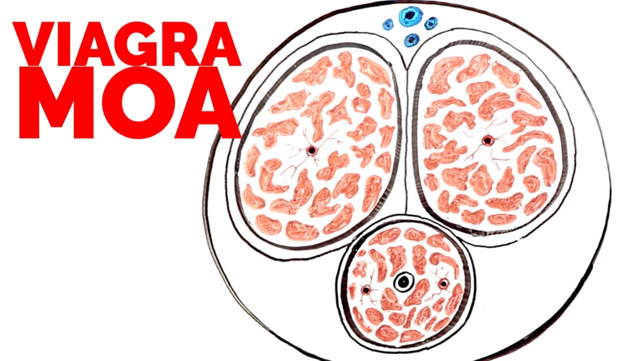 Order Viagra Super Active Sildenafil