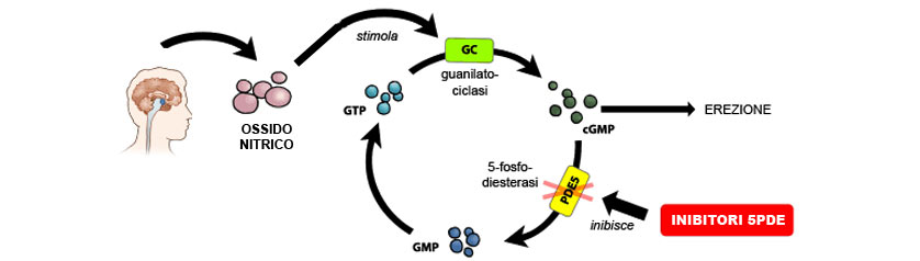 levitra orosolubile online