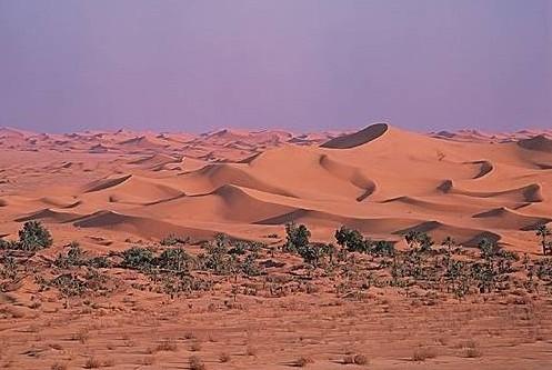 Silagra 120mg online